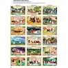 Gạch tranh 5D mã đáo thành công 017