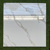 Gạch lát nền giá rẻ 80x80 8801