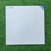 Gạch Viglacera 60x60 mờ CLSM601