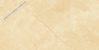 Gạch ốp lát Ý Mỹ 60x120 P6128011C