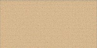 Gạch Vitto 30x60 D229