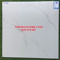 Đá bán sứ mờ Viglacera 60x60 VHP6601