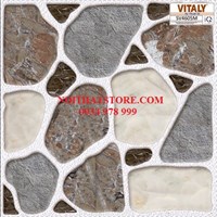 Gạch sân vườn giá rẻ 50x50 SV4605M