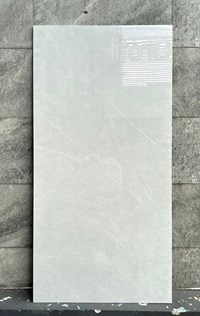Gạch Viglacera 60x120 AZ8-GP61201