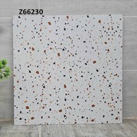 Gạch lát nền Terrazzo Trung Quốc 60x60 Z66230