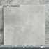 Gạch Viglacera 80x80 mờ NY11-GM8802
