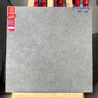 Gạch Prime 60x60 đá mờ NYG6604