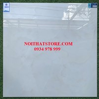 Gạch lát nền giá rẻ 80x80 Viglacera TB895