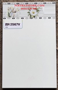 Gạch ốp tường giá rẻ 25x40 PH2567