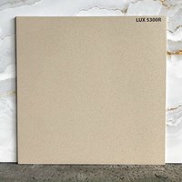 Đá lát sân vườn 50x50 LUX5300R