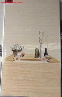 Gạch ốp tường giá rẻ 30x60 CE 3602