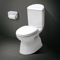 Bồn cầu 2 khối Inax C-828VRN
