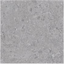 Gạch Đồng Tâm mờ 8080BARI003-FP-H+