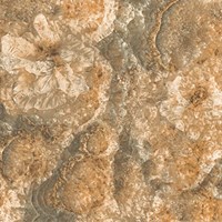 Gạch Viglacera 60x60 ECO-S605