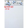 Gạch giá rẻ 25x40 Prime KTSV43