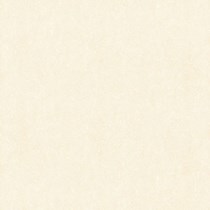 Gạch lát nền Takao 60x60 16001