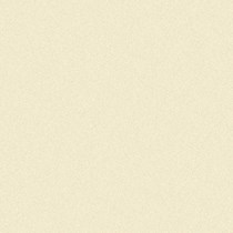 Đá bóng mờ chống trơn Prime 60x60 9750