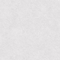 Gạch Tasa 60x60 6401