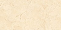 Gạch ốp lát Catalan 60x120 CTN-1208