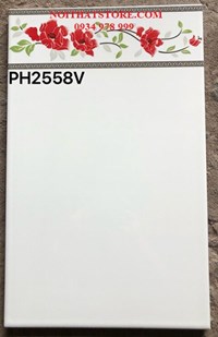 Gạch ốp tường giá rẻ 25x40 PH2558