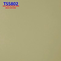Gạch Viglacera 80x80 bóng kính 2 da TS5802