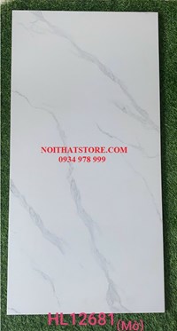 Đá đồng chất mờ Trung Quốc 60x120 HL12681