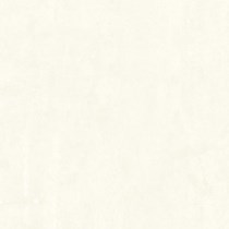 Gạch Bạch Mã 50x50 CG50010
