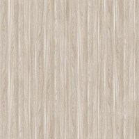 Gạch kỹ thuật số 50x50 Prime 9822