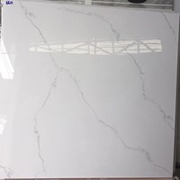 Đá bóng kính toàn phần giá rẻ 60x60 6611