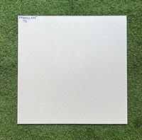 Gạch 60x60 mờ xi măng FP6801 TK