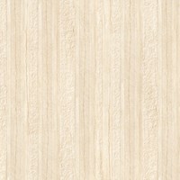 Gạch bóng kính toàn phần 60x60 Prime 9821