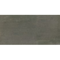 Gạch Taicera 30x60 G63939
