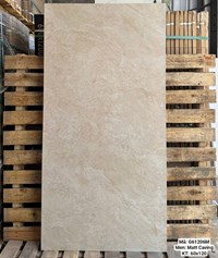 Gạch Việt Ý 60x120 mờ G61206M