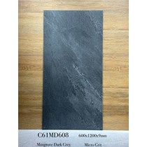 Gạch ốp lát Apodio 60x120 mờ C61MD608