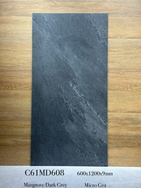 Gạch ốp lát Apodio 60x120 mờ C61MD608