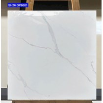Gạch lát nền Viglacera 60x60 SH26-GP6601