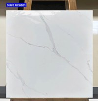 Gạch lát nền Viglacera 60x60 SH26-GP6601
