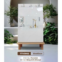 Gạch ốp tường Hà Thanh 30x60 TTV3902
