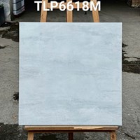 Gạch lát nền Granite Vitaly 60x60 mờ TLP6618M