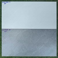 Đá ốp tường Vitaly 30x60 mờ GM3063N-GM3063D