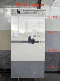 Gạch ốp tường Tasa 40x80 TS 4372-4370-4369-4371