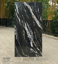 Gạch Tasa 90x180 bóng 9722