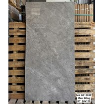 Gạch Việt Ý 60x120 bóng G61203P
