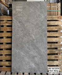 Gạch Việt Ý 60x120 bóng G61203P