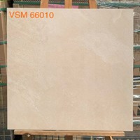 Gạch lát nền Granite Vitaly 60x60 mờ VSM 66010