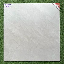 Gạch lát nền Prime 60x60 mờ 29201M