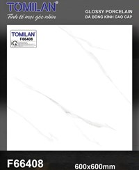 Gạch lát nền Tô Thành Phát 60x60 bóng F66408