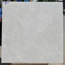 Gạch lát nền Ý Mỹ 80x80 F88023R