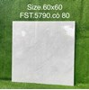 Gạch lát nền Tasa 60x60 bóng FST.5790