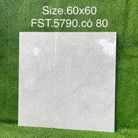 Gạch lát nền Tasa 60x60 bóng FST.5790